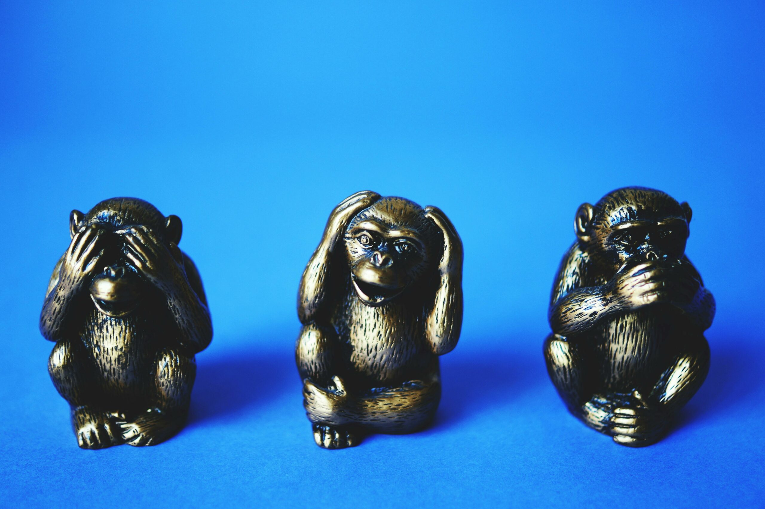 Singes sagesse_pexels-eye4dtail-134403