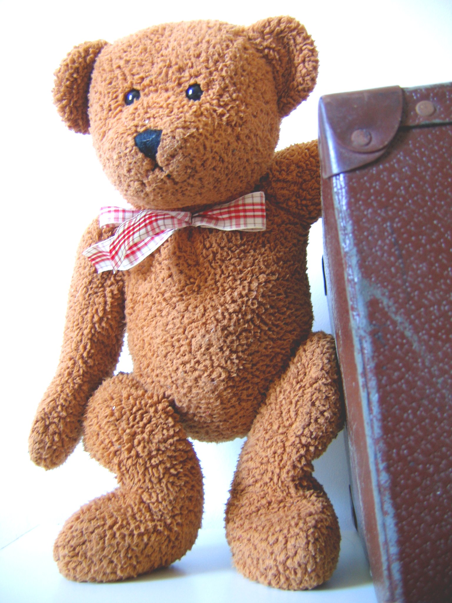 more-travel-teddies-series-n-1555895